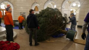 VIDEO: Luzerne County Courthouse tree arrives